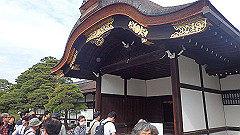 p4041782_thumb.jpg