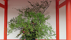 p4041794_thumb.jpg