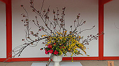 p4041795_thumb.jpg