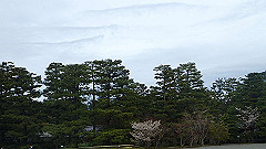 p4041808_thumb.jpg
