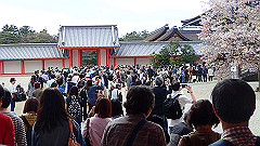p4041809_thumb.jpg