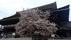 p4041812_thumb.jpg
