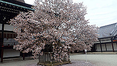 p4041818_thumb.jpg
