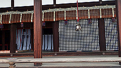 p4041829_thumb.jpg