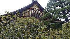 p4041836_thumb.jpg