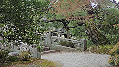 p4041859_thumb.jpg