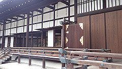 p4041871_thumb.jpg