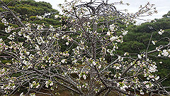 p4041882_thumb.jpg