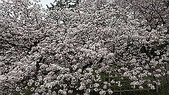 p4041884_thumb.jpg
