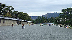p4041888_thumb.jpg