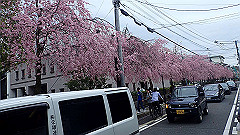 p4041892_thumb.jpg