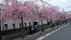 p4041893_thumb.jpg