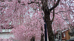 p4041896_thumb.jpg
