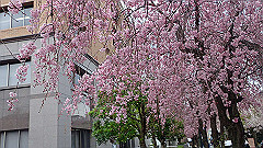p4041897_thumb.jpg
