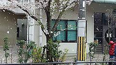 p4041900_thumb.jpg