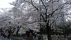 p4041910_thumb.jpg