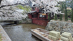 p4041917_thumb.jpg