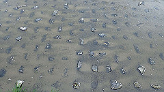 p4041918_thumb.jpg