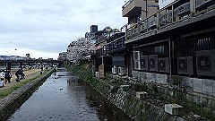 p4041920_thumb.jpg