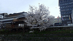 p4041921_thumb.jpg