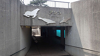 p4162044_thumb.jpg