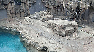 p4162045_thumb.jpg