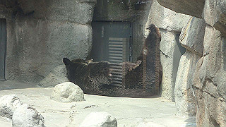 p4162049_thumb.jpg