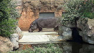 p4162056_thumb.jpg