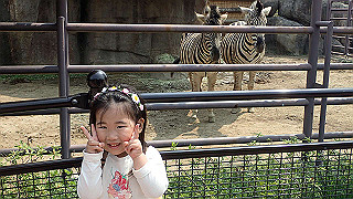 p4162062_thumb.jpg