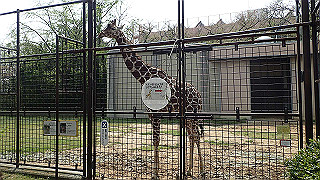 p4162063_thumb.jpg