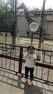p4162064_thumb.jpg
