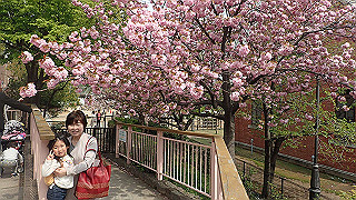 p4162076_thumb.jpg