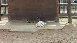 p4162081_thumb.jpg