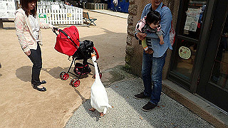 p4162083_thumb.jpg