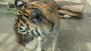 p4162091_thumb.jpg