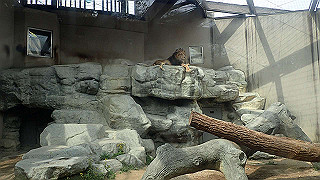 p4162094_thumb.jpg