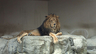 p4162095_thumb.jpg