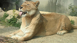 p4162096_thumb.jpg