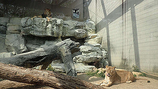 p4162099_thumb.jpg