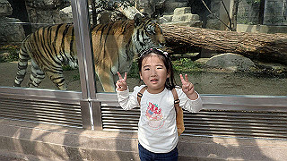p4162101_thumb.jpg