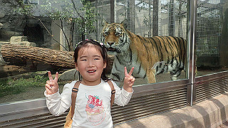 p4162102_thumb.jpg