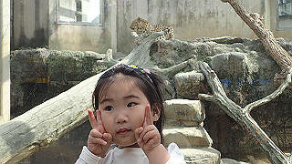 p4162104_thumb.jpg
