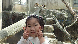 p4162105_thumb.jpg