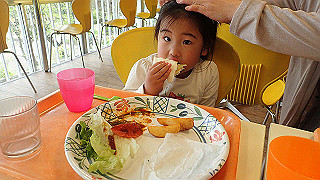 p4162110_thumb.jpg