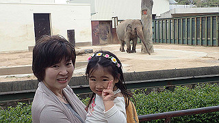 p4162130_thumb.jpg