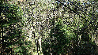 p4232187_thumb.jpg