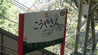 p4232189_thumb.jpg