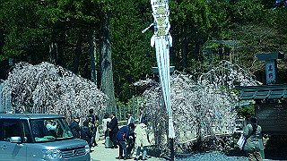 p4232194_thumb.jpg