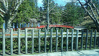 p4232197_thumb.jpg