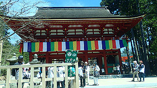 p4232202_thumb.jpg